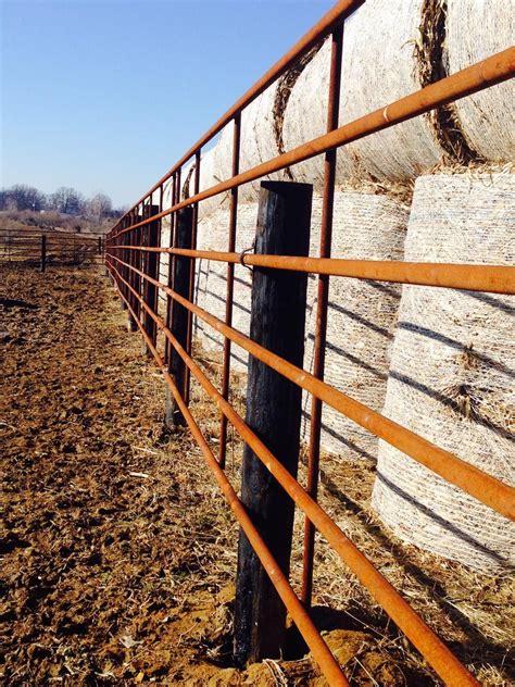 Wagner Cattle LLC | Gates | Cattle gate, Pasture fencing, Farm gate