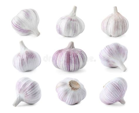 Set of Different Garlic Bulbs Stock Image - Image of healthy, object ...