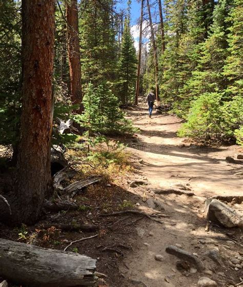 Hiking a Forest Trail in Rocky Mountains Editorial Image - Image of outdoors, colorado: 109791090