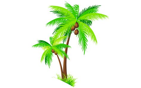 Coconut Tree Vector at GetDrawings | Free download