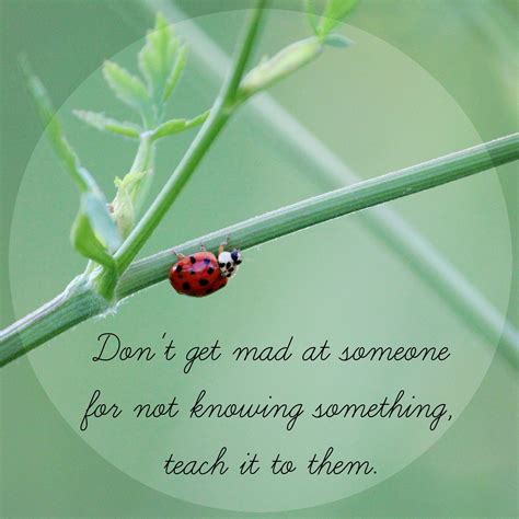 #quotes #quote #teach #teaching #ladybug #photography #learn #help # ...