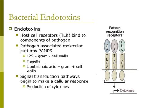 Mechanism of pathogenicity-Exotoxin and endotoxin | PPT