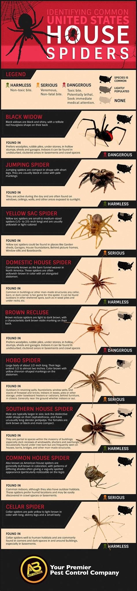 Identifying Common U.S. House Spiders - AB Pest Control. Which spiders are poisonous, and what ...