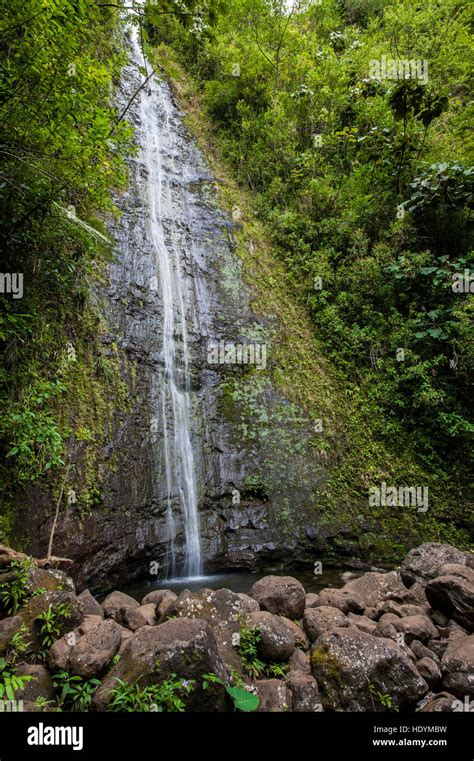 Manoa Falls, Honolulu, Oahu, Hawaii Stock Photo - Alamy