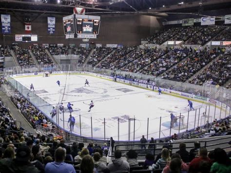 Ice Flyers shine as 8,049 fans watch in packed Bay Center