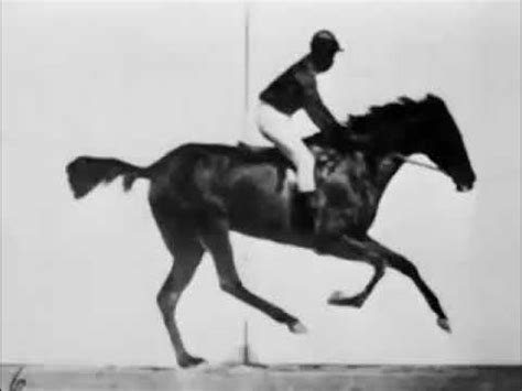 The Horse In Motion (1878) - by Eadweard Muybridge [First Short Film ...