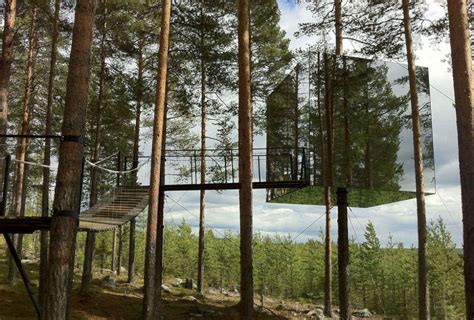 Treehotel, Sweden - Get Treehotel, Sweden Hotel Hotel Reviews on ...