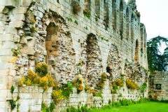 Jervaulx Abbey - History, Travel, and accommodation information