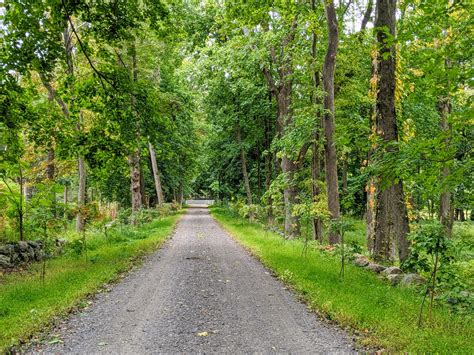 Maintaining the Allées at My Farm - The Martha Stewart Blog