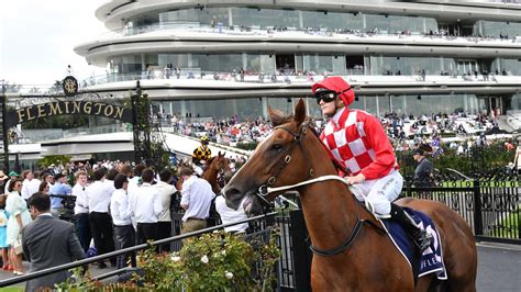 Injured jockey Ethan Brown to undergo further surgery following Australian Guineas fall | news ...