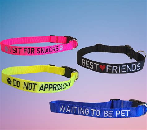 Dog Collars with Sayings - Personalize Your Pet