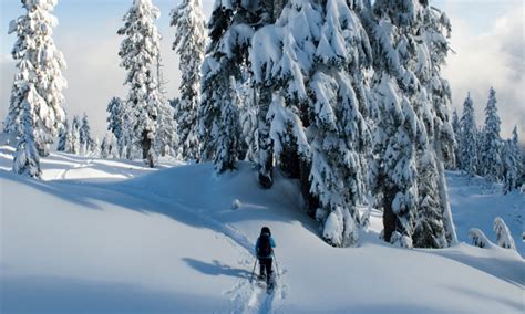 Missoula Snowshoeing: Snowshoe Rentals & Tours - AllTrips