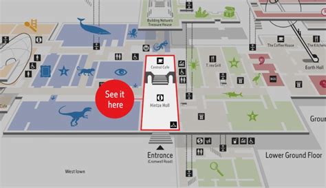 Natural History Museum London Floor Plan Pdf | Viewfloor.co