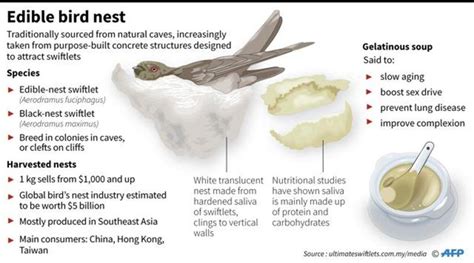 Edible Bird's Nest Is a Rare Asian Delicacy - Delishably