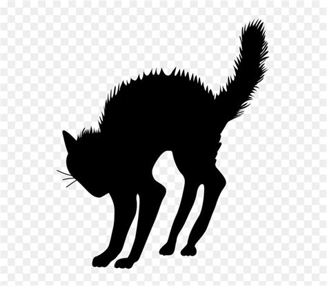 Halloween Black Cat Transparent Image - Halloween Black Cat Silhouette, HD Png Download - vhv