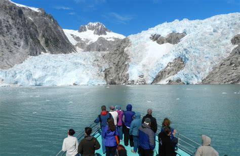 Alaska Whale Watching Tours | Whalewatching in Alaska