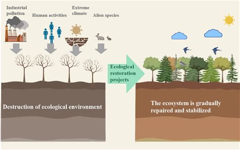 Schematic diagram of ecological restoration project | Download Scientific Diagram