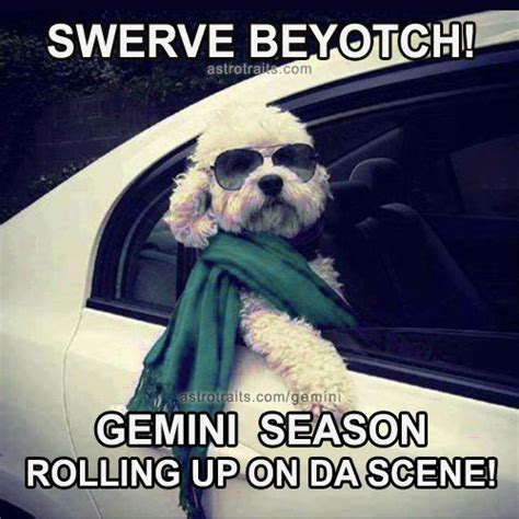 GEMINI SEASON MEMES - Top 18+ Memes for Gemini Season