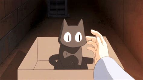 Nichijou sakamoto cat GIF - Find on GIFER