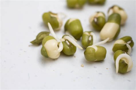 Simple Sprouted Mung Bean Sauté - Indiaphile