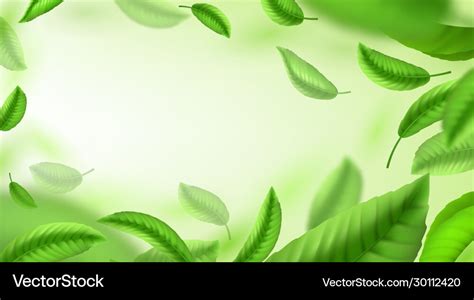 Tea leaves background realistic green falling Vector Image