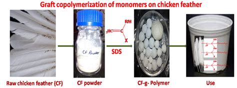 Polymeric Materials – Polymeric Materials