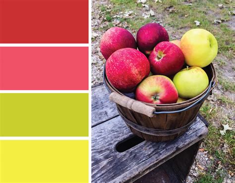 Color inspiration: Apple Orchard color palette - Merriment Design