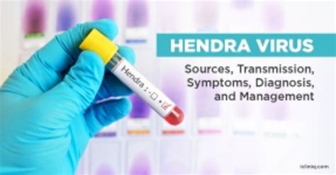 Health Articles in Hendra Virus