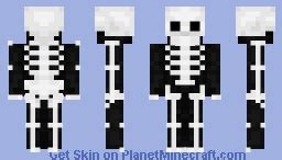 Basic Skeleton Minecraft Skin