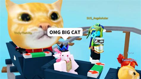 Stronk Cat Got Admin In Roblox Cart Ride - YouTube