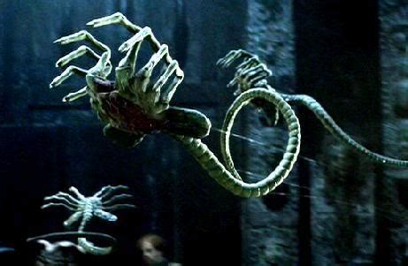 Image - Xenomorph-FaceHugger.jpg - Xenopedia - The Alien vs. Predator Wiki