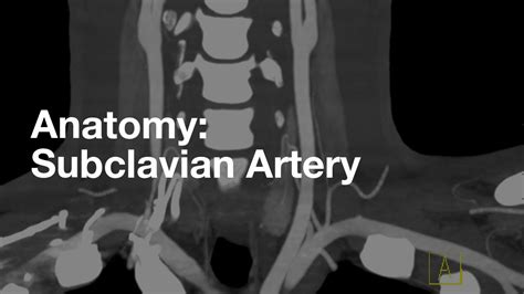 Subclavian Artery Anatomy - YouTube