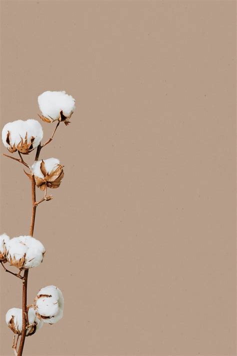 Download free illustration of Beige minimal flower background design ...