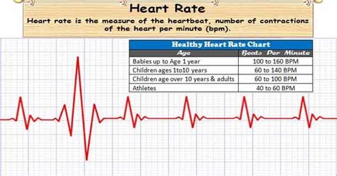 What is a heart rate or pulse rate? Number of time heart beats per ...