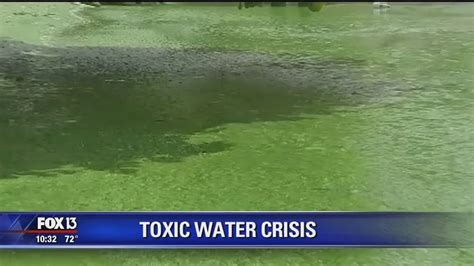 Health effects of Florida's blue-green algae - YouTube