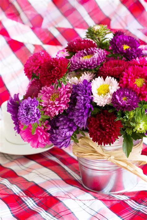 aster flowers bouquet | Stock image | Colourbox