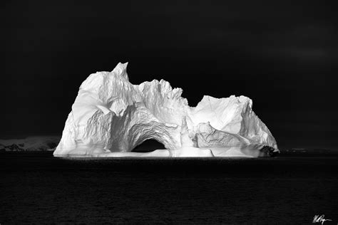 Monochromatic Monster (2023) | Antarctica