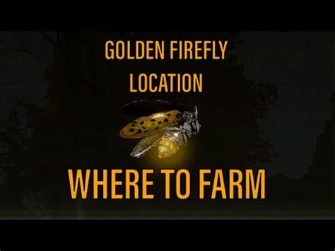 How To Farm Gold Firefly | Gold Firefly Location - Elden Ring - YouTube