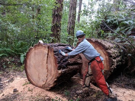 Lower Rogue River Trail – Wild Rivers Coast Mountain Biking Association