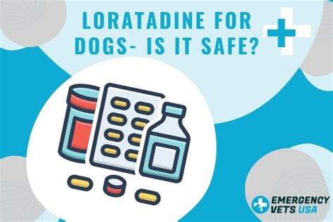 Loratadine (Claritin) For Dogs, Is It Safe? What Dosage To Give To Your Dog