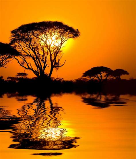 African Sunset With Reflection, Kenya #photography | African sunset, Sunset, Scenery