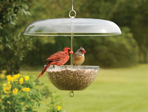 Duncraft.com: Duncraft Cardinal & Feeder