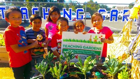 Students Harvest First Crop from Walt Disney Elementary School Teaching Garden Funded By ...