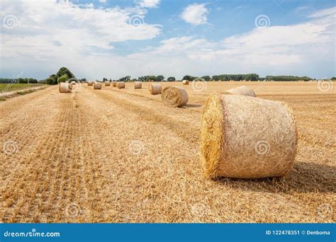 An hay bale stock image. Image of golden, bales, farm - 122478351