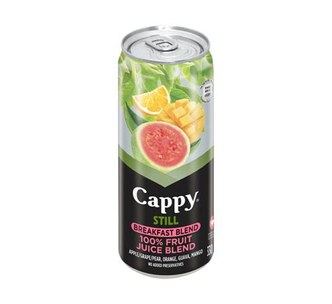 Cappy Fruit Juice Breakfast Blend (6 x 330ml) | Makro