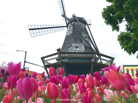 Complete Guide To City Of Pella Iowa Tulip Time Festival | The World ...