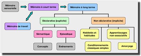 Mémoire à long terme non-déclarative