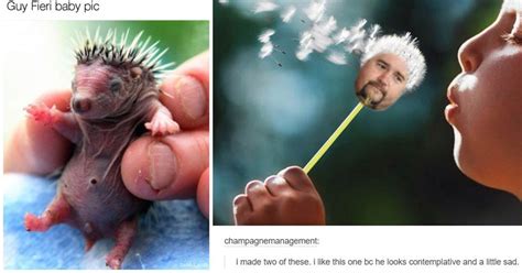 15 Guy Fieri Memes That'll Ship You Right Over To Flavortown - Memebase - Funny Memes