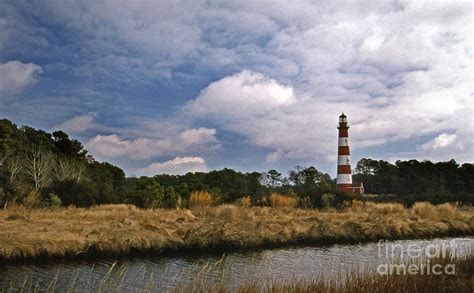 Assateague Island Lighthouse Photograph by Skip Willits - Fine Art America