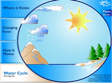 The Water Cycle | Content Area Literacy